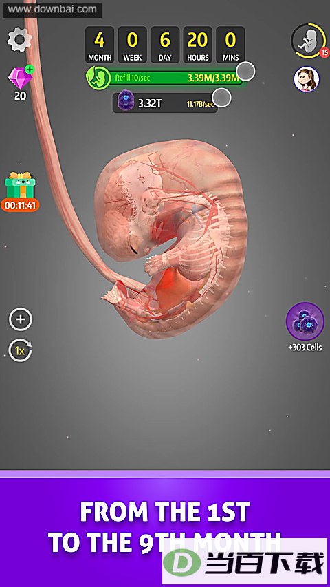 �Ÿ�����Ϸ(9 Months)