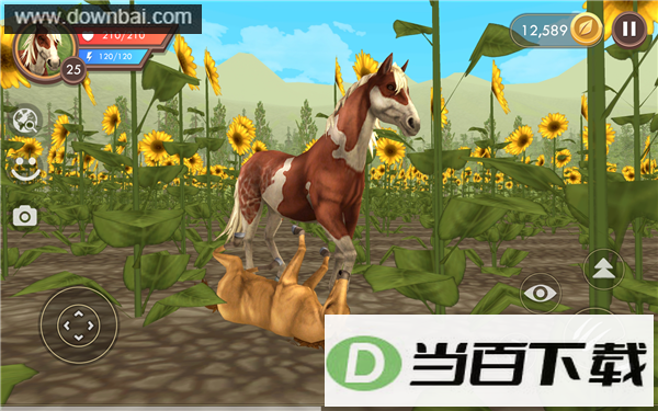 WildCraft���߶���ģ���ͼ2
