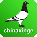 �й��Ÿ���Ϣ��app