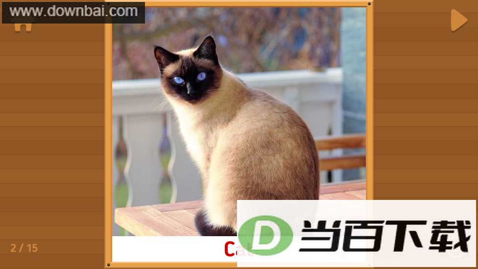 ���ﵥ�ʿ�Ƭapp��ͼ3