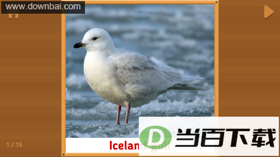 ���ﵥ�ʿ�Ƭapp��ͼ5