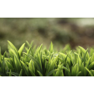 win7ĥɰ�������� lucent by cm
