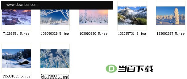 bing必应冬季壁纸 软件界面截图