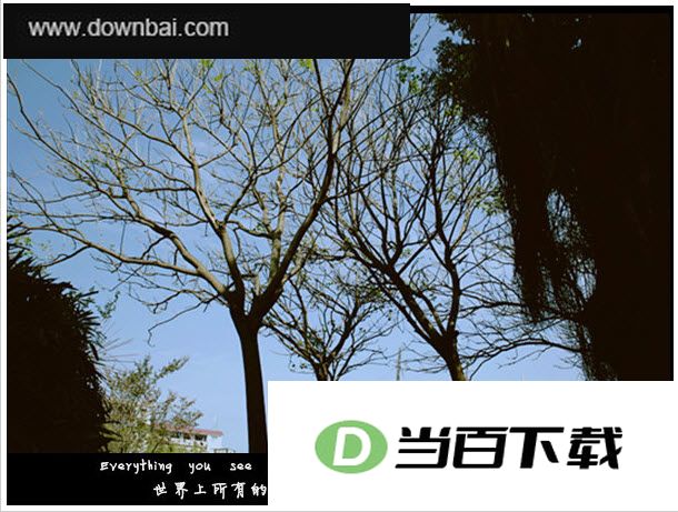 空间图片素材打包 界面截图