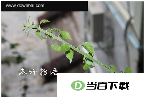 空间图片素材打包 界面截图