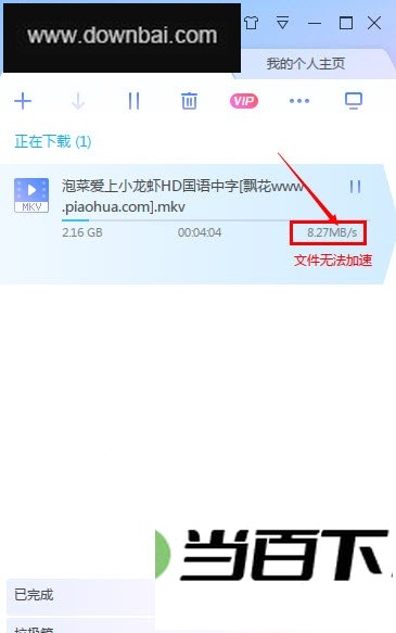 迅雷X版(10级VIP修改满速下载) 软件界面截图