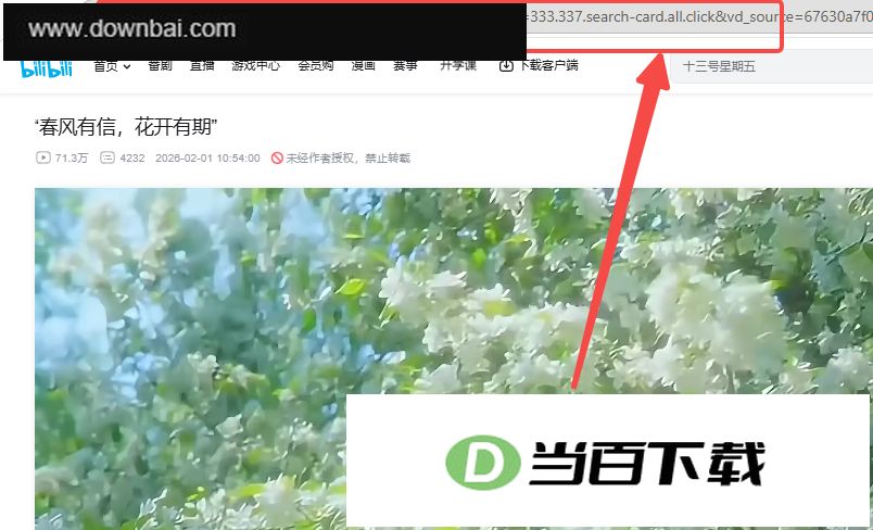 OmniGet下载器 软件截图