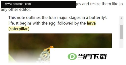 Beaver Notes 软件截图