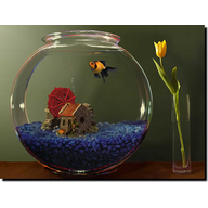 Goldfish Aquarium(�������綯̬����)