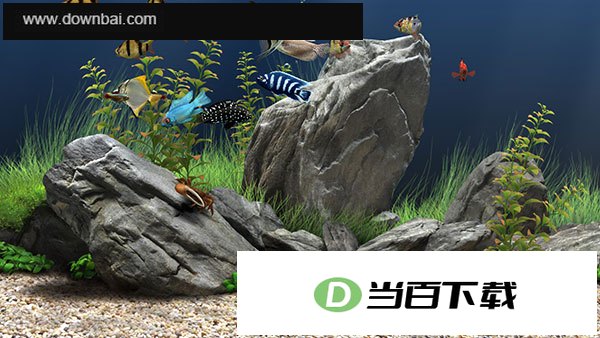 Dream Aquarium(屏幕保护程序) 软件截图