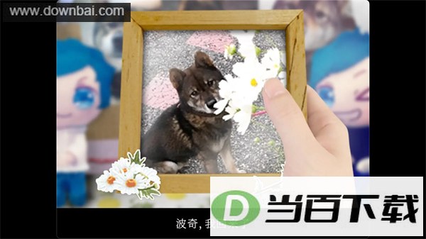 翌日波奇狗的历险记手游