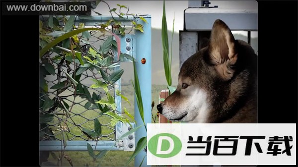 ���ղ��湷�����ռ����ν�ͼ2